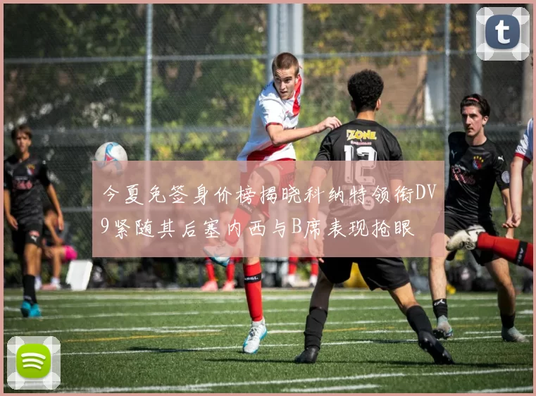 今夏免签身价榜揭晓科纳特领衔DV9紧随其后塞内西与B席表现抢眼